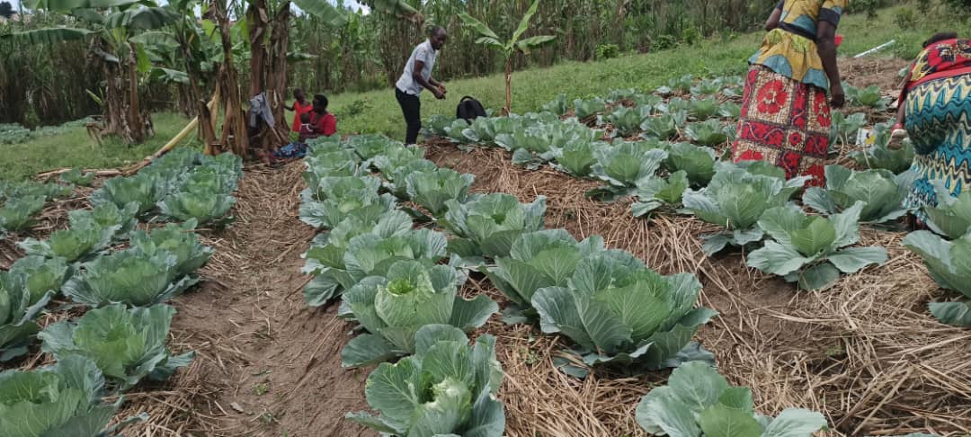 Education and Nutrition Programs